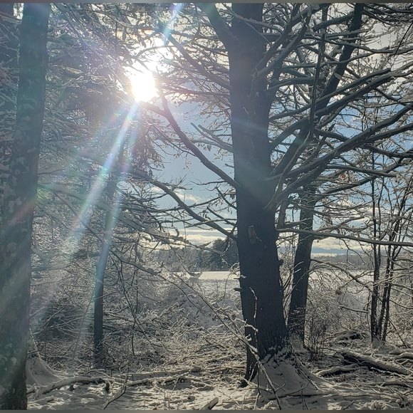 Fou Fou Dog Other - *SOLD*🐾💗FouFouDog • Reversible Barbie Pink Puffer Coat Vest Jacket • M •NWT